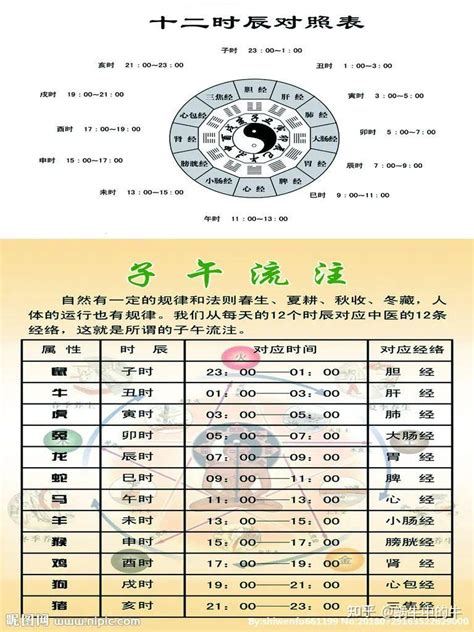 天干地支時辰|间天干地支十二小时与十二时辰对于时间对照表